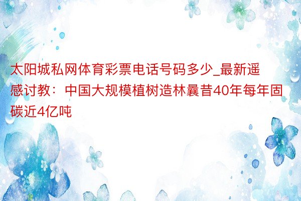 太阳城私网体育彩票电话号码多少_最新遥感讨教：中国大规模植树造林曩昔40年每年固碳近4亿吨