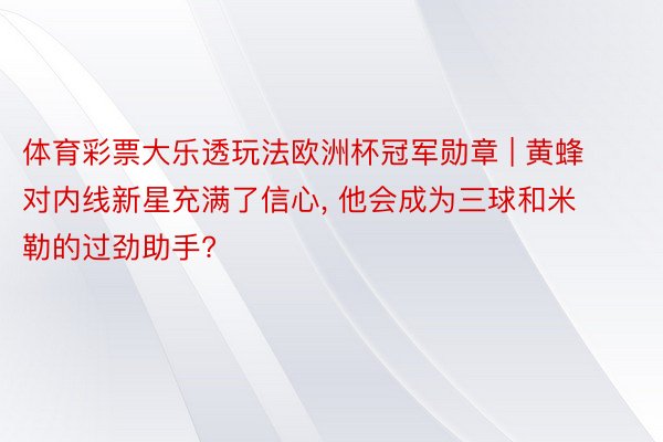 体育彩票大乐透玩法欧洲杯冠军勋章 | 黄蜂对内线新星充满了信心, 他会成为三球和米勒的过劲助手?